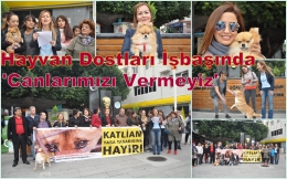 Tarsus’ta Hayvan Hakları Savunucularından Cumhurbaşkanına Çağrı
