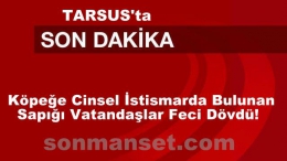 Tarsus’ta Sokak Köpeğine Cinsel İstismar