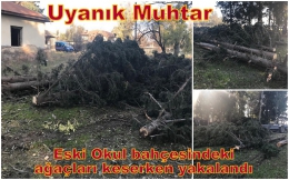 Tarsus’ta Uyanık Muhtarın Marifeti