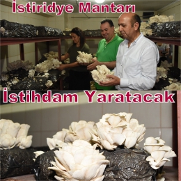 Ali Erhan Okyay: “Hedefimiz Yeni İş Kapıları açmak”