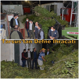 Orman Bölge Müdürü Tarsus Defne İşleme Tesisinde