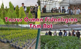 Orman Bölge Müdürü Tarsus Fidanlığında incelemelerde bulundu