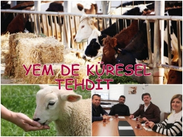 Yemde küresel tehdit, Tarsus'ta üretici kaygılı