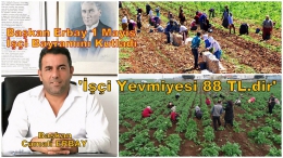 Başkan Erbay: Tarsus'ta Tarım İşçisinin Yevmiyesi 88 TL