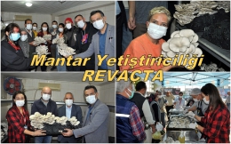 Tarsus’ta Mantar Yetiştiriciliğini bitirenler iş sahibi oluyor