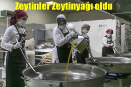 Mersin Büyükşehir Zeytinleri Yağa Dönüştürüyor