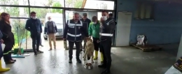 Tarsus Emniyet Müdürlüğü Köpeği Aracına bağlayıp eziyet eden Sürücüyü Yakaladı