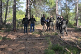 Akduman, Tarsus’ta ormancılık faaliyetlerini inceledi