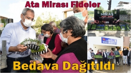 Tarsus Belediyesi Ata Tohumuyla yetiştirilen 300 bin fideyi bedava dağıttı
