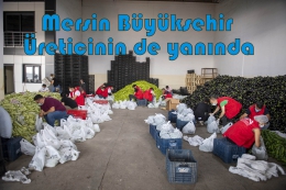 Vahap Seçer, Vatandaşın ve Üreticinin İmdadına Hızır Gibi Yetişti