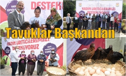 Kadınlar Tavuk Besleyip, Yumurta Üretecek, Halk Marketler Satacak