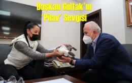 Başkan Gültak, Engelli Kediyi Ağırladı