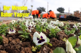 Büyükşehir'le Mersin Her Mevsim Bahar Yaşıyor