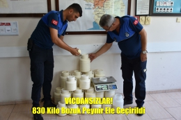 Tarsus’ta İnsan sağlığına zararlı 830 kilo peynir ele geçirildi