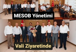 MESOB Başkanı Sarı ve Yönetiminden Vali Pehlivan'a Ziyaret