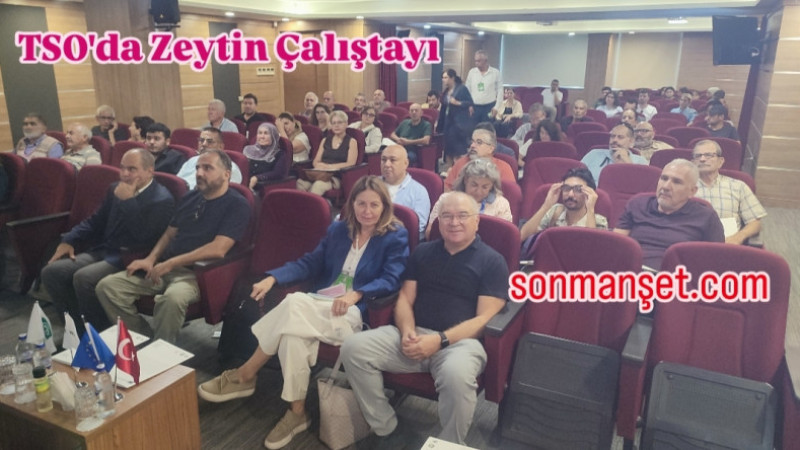 Tarsus TSO’da “Doğa Dostu Zeytincilik” Çalıştayı Gerçekleştirildi