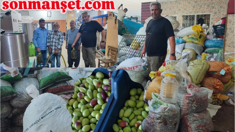 Zeytincilerin Tercihi bu Yıl da Şendağ Zeytinyağı Fabrikası oldu