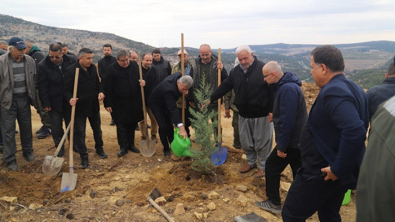 2025 Uluslararası Kooperatifler Yılı Anısına Hatıra Ormanı