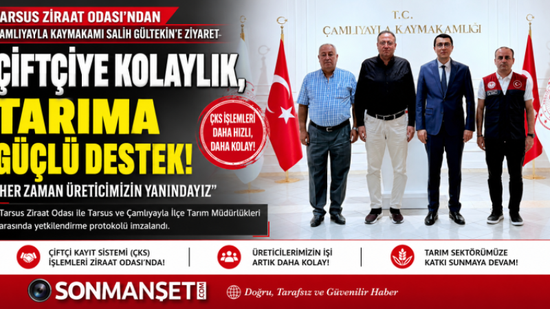 Veyis Avcı, Çamlıyayla Kaymakamı Salih Gültekin'i Ziyaret Etti 