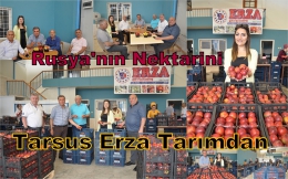 ERZA Tarım Tarsus’tan Rusya’ya Nektarin ihracatı 