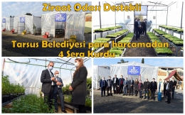 Tarsus Belediyesi Atık Malzemelerle 4 Sera Kurdu