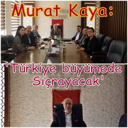 Tarsus TB Başkanı Kaya: Türkiye Büyüme Hızında Sıçrayacak