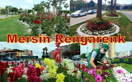 Mersin Yaz Çiçekleriyle Rengarenk Oldu