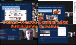 Baltık Ülkeleri Pazarına Giriş ve Fırsatlar Webinar semineri