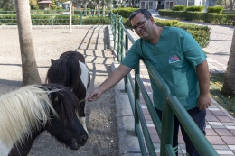 Tarsus Doğa Parkının Midillisi Garip Hızla Büyüyor