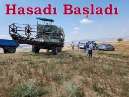 Tarsus'ta Karabuğday Hasadı Yapıldı