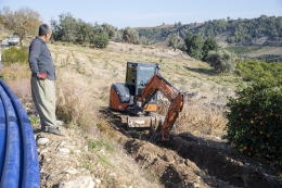 Mersinli Çiftçiler Büyükşehir Desteğiyle Geleceğe Güvenle Bakıyor
