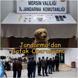 Tarsus'ta Jandarmadan Uyuşturucu Satıcılarına ŞAFAK OPERASYONU
