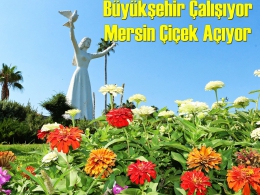 Büyükşehir Arı Gibi Çalıştı, Kent Çiçek Açtı
