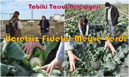 Tarsus Belediyesi'nin çiftçilere ücretsiz dağıttığı fideler meyve verdi