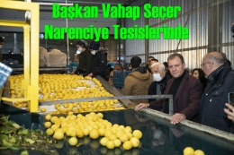 Başkan Seçer, Narenciye Tesislerini Ziyaret Etti