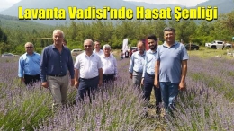 Çamlıyayla’da Lavanta Vadisinde Lavanta Hasat Şenliği yapıldı