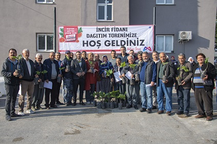 Mersin Büyükşehir Sayesinde İncir Kenti Oldu