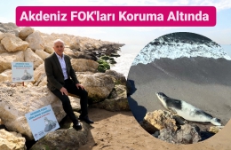 AKDENİZ FOK'ları Koruma Altında
