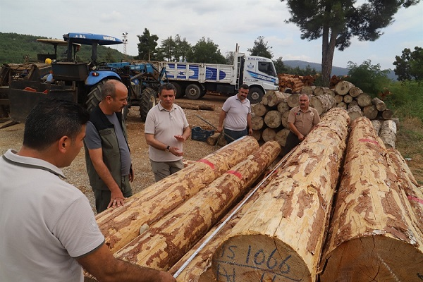 Orman Bölge Müdürü Tarsus Endüstriyel Ağaçlandırma Sahasında