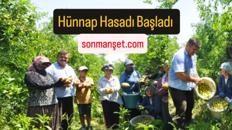 Tarsus'ta Hünnap Hasadı Bereketli Başladı
