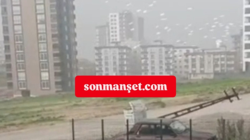 Tarsus'ta Fırtına elektrik direği ve ağaç devirdi