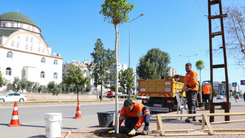 Mersin'de Büyükşehirden Ağaçlandırma Kampanyası 