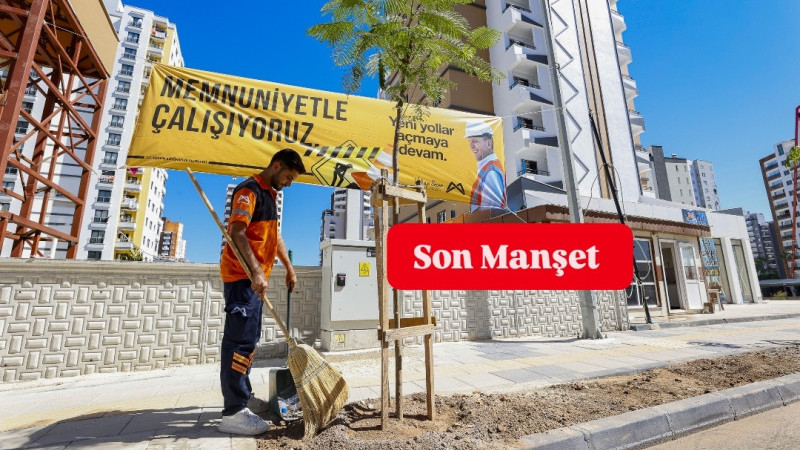 MERSİN BÜYÜKŞEHİR, MEZİTLİ GAZİ PAŞA CADDESİ’NDE 420 AĞACI TOPRAKLA BULUŞTURDU