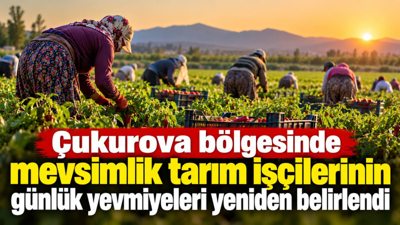 Tarsus Paketleme ve Tarım İşçilerinin Yevmiyeleri Yenilendi